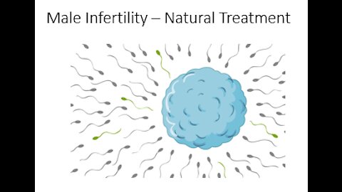 Increasing Male Fertility