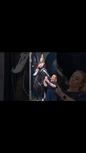 The horse gives two kisses #horseguardsparade