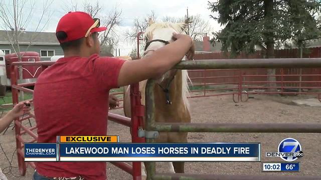 Owner of dead horse says he tried to save all of his horses during massive barn fire