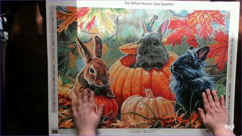 Pumpkin Patch Bunnies From Diamond Art Club Post Reviews