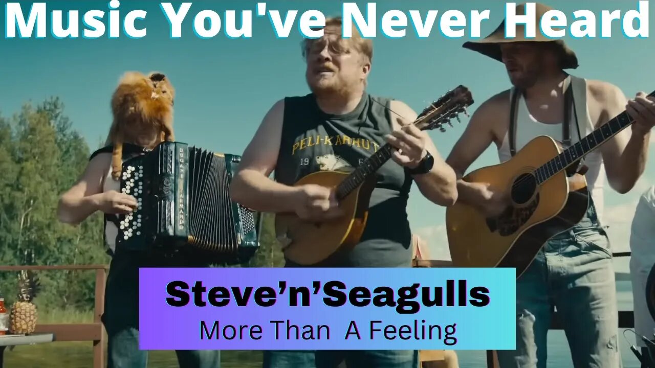 MYNH: Lovin' this Bluegrass cover of a Boston Classic! Steve'n'Seagulls - More Than A Feeling!