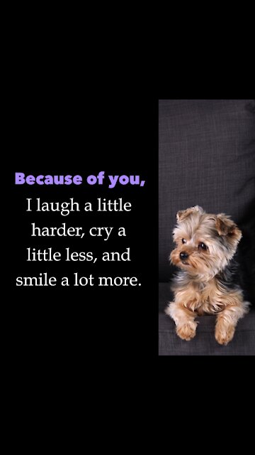 Because Of You [GMG Originals]