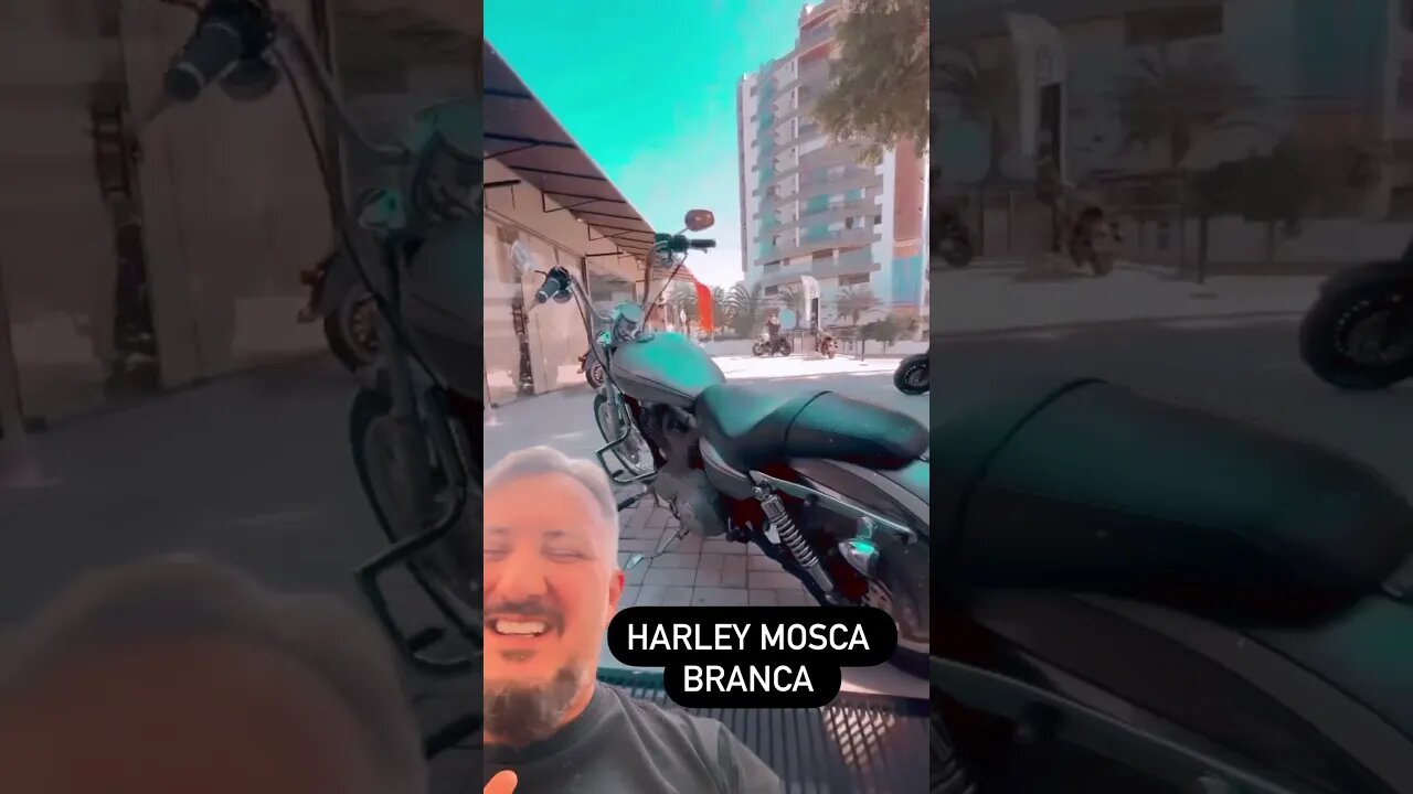 Harley Davidson Mosca Branca