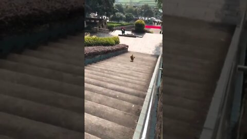I'll take the stairs