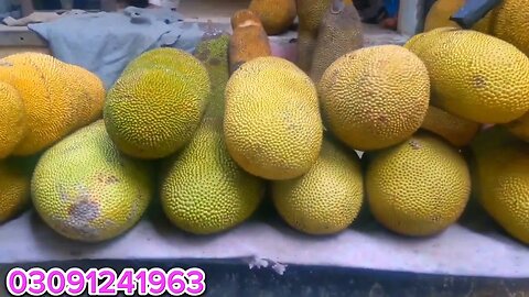 Kathal the biggest and huge Jack Fruit in the world Dunya ka sub se barha phal kathal