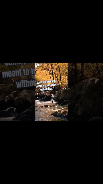 When you allow nature to work for your being. #meditation#goodvibes#short