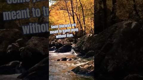 When you allow nature to work for your being. #meditation#goodvibes#short