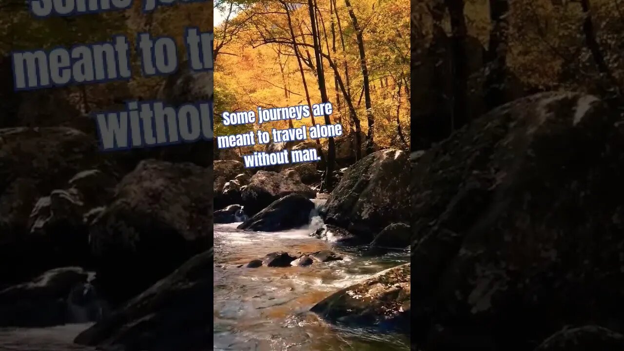 When you allow nature to work for your being. #meditation#goodvibes#short