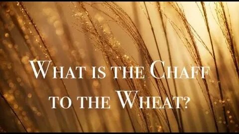 What is the Chaff to the Wheat