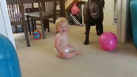 Dog Loves Baby When the First Time They Met Compilation NEW 2023 Try Not to Laugh