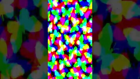Butterflies Art Animation
