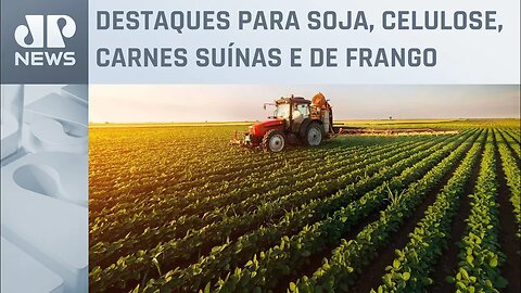 Agro impulsiona a economia e alavanca as exportações