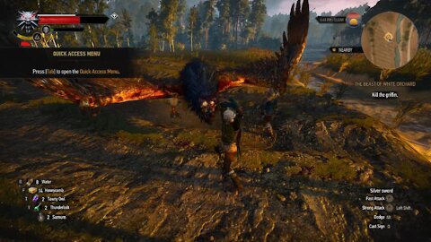 The Witcher 3 Geralt fighting the Griffin