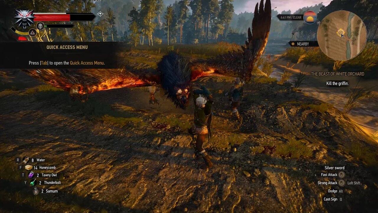 The Witcher 3 Geralt fighting the Griffin