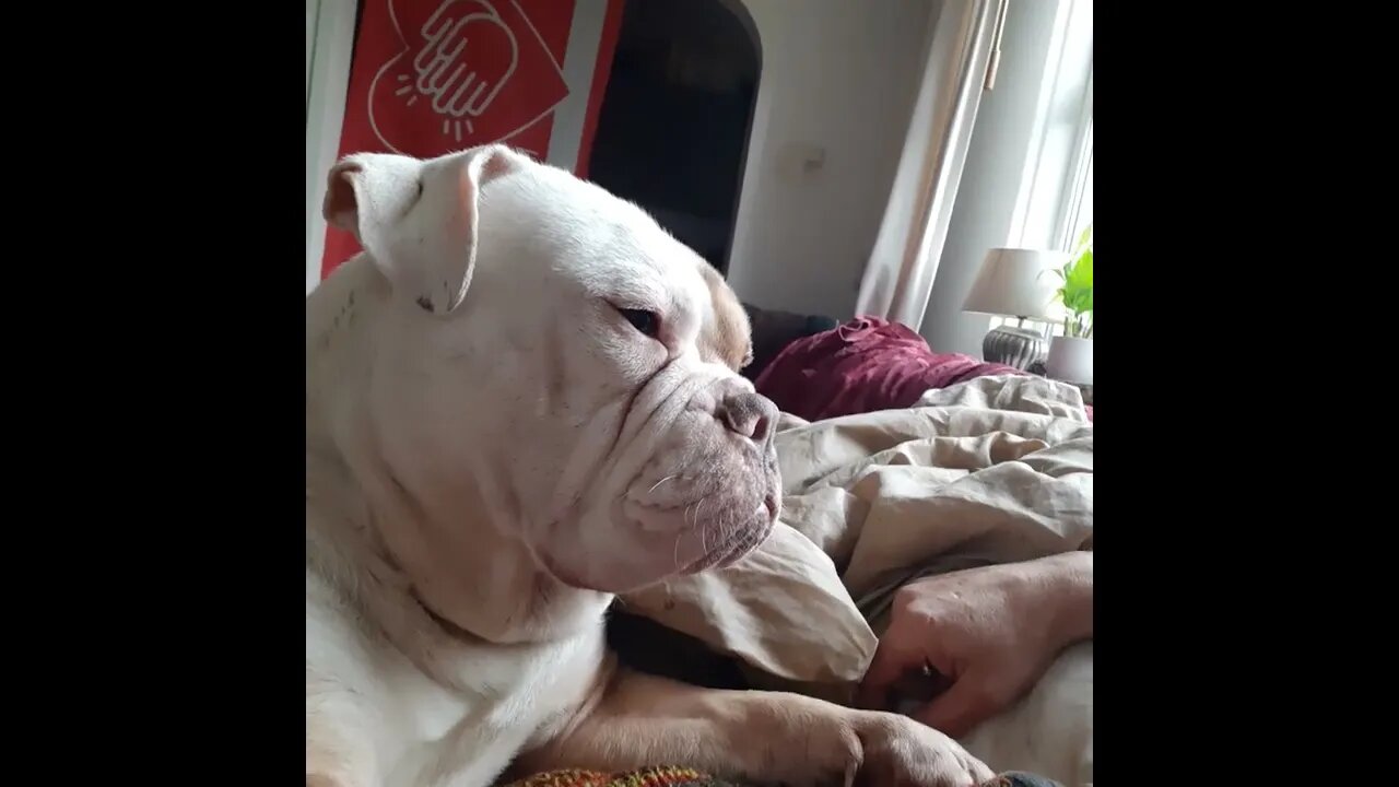 best corner in the house...