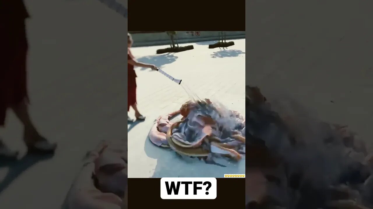 WTF is that? 🐙 #shorts #viral #youtubeshorts #subscribe #reels #music #tiktok