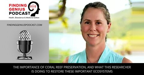 The Importance Of Coral Reef Preservation