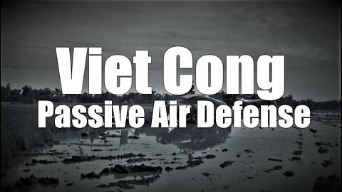 Passive Air Defense and the Viet Cong