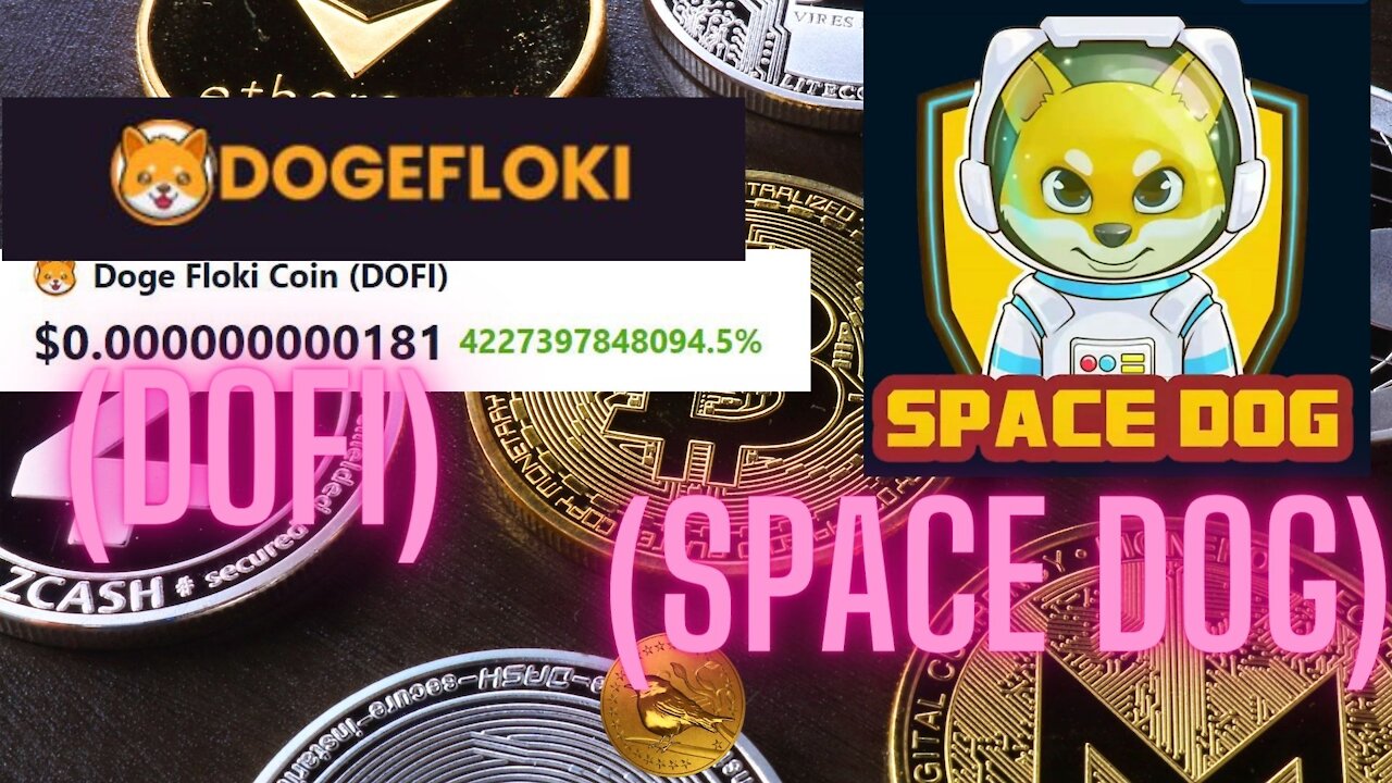 Doge Floki Coin (DOFI) and Space dog (SPACE DOG) new token