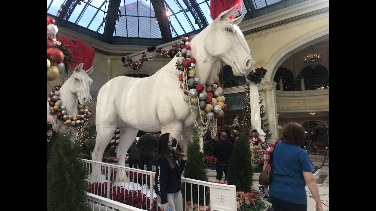 Bellagio Hotel's holiday display will be unveiled today