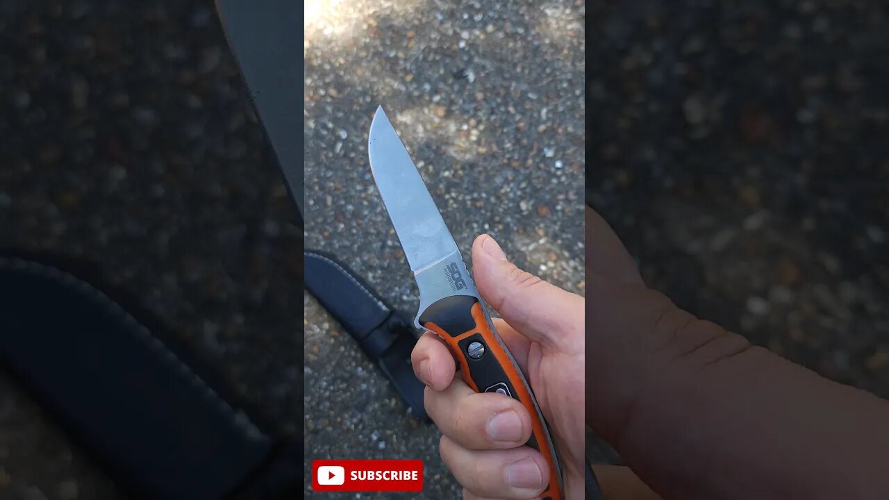 SOG Huntspoint - Fixed Blade Friday #shorts #knifeshorts #fixedblade #sog #huntspoint