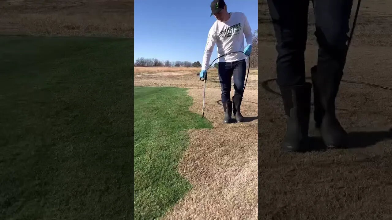Sights and Sounds of Painting Grass