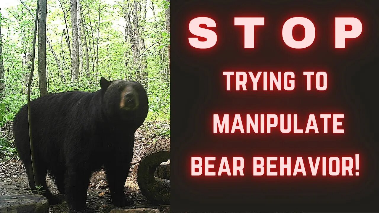 Don't Manipulate bears at baits!