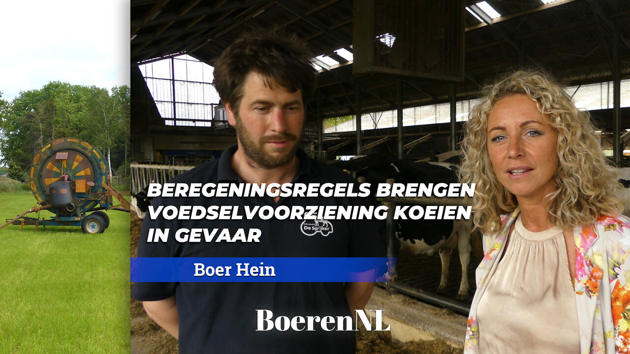 BEREGENINGSREGELS BRENGEN VOEDSELVOORZIENING KOEIEN IN GEVAAR