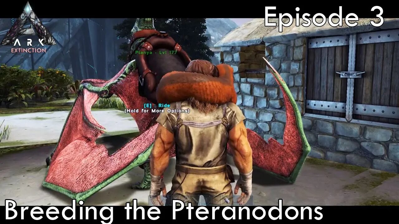 Breeding the Pteranodons - Ark Survival Evolved - Extinction EP3