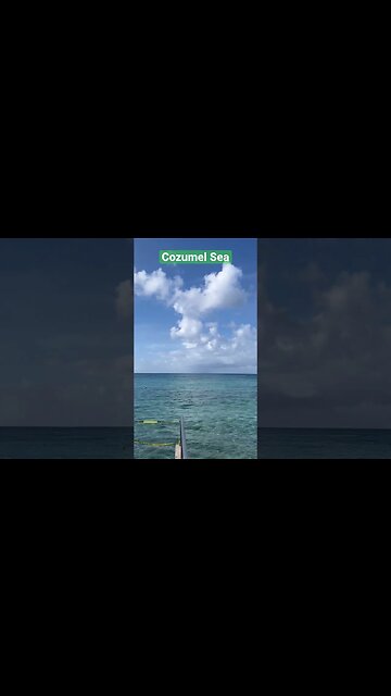 Beautiful Cozumel Sea #shorts