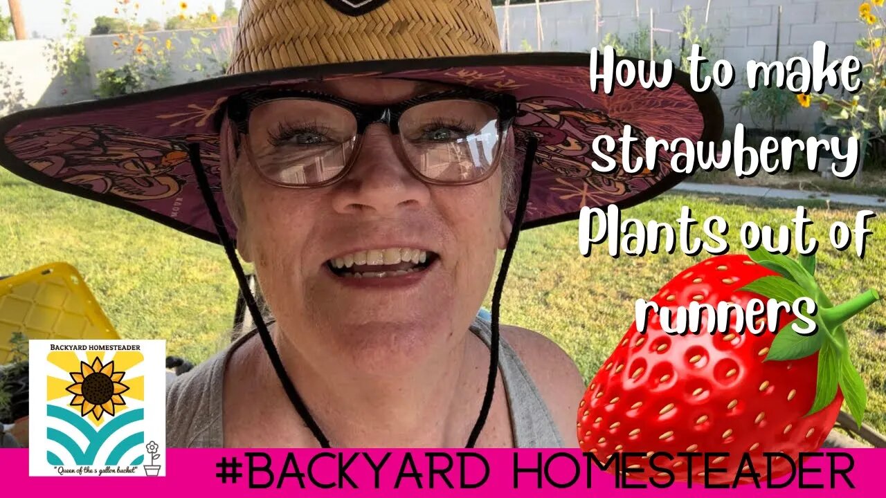 How can I use Strawberry runners to make new plants?