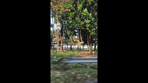 ...view of the Kallang River, whilst entering the PIE in Singapore, Mar 24