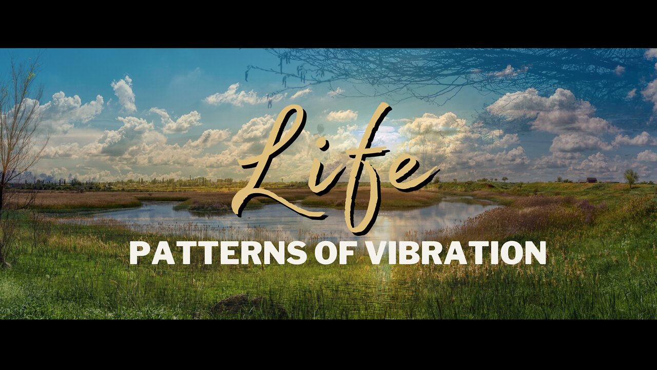 Life: Patterns of Vibration