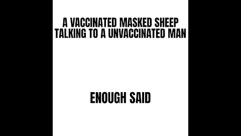 A Vaccinated Sheep