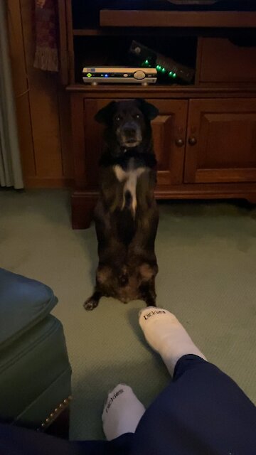 Can I go outside PLEASEEE!