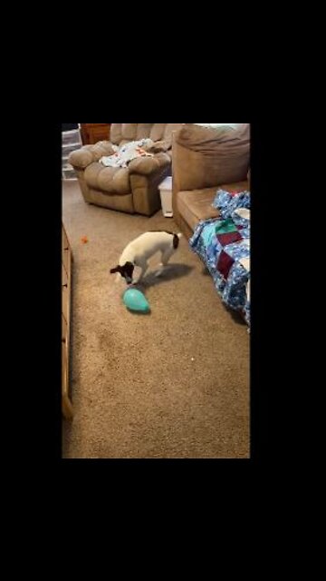 Princess vs the balloon