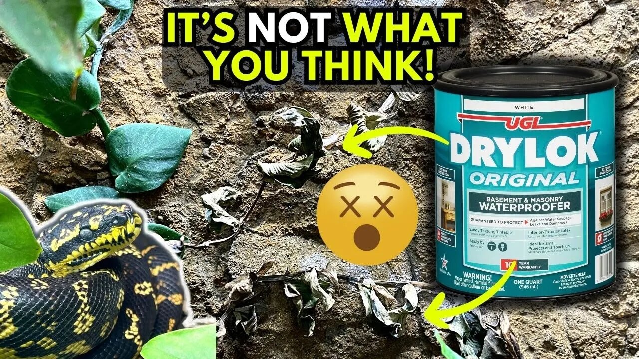 Why Drylok is KILLING your Reptile's Plants & How to Prevent it!