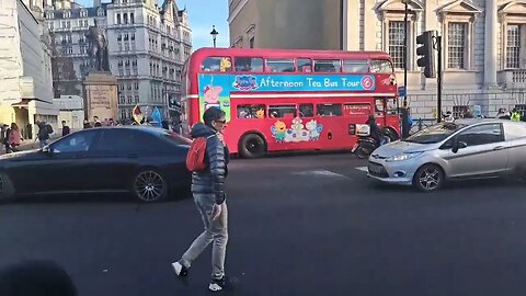 police check with the Horse Guard all is OK #protest