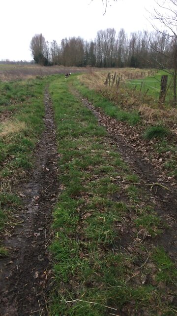 That’s My Dog Jocko