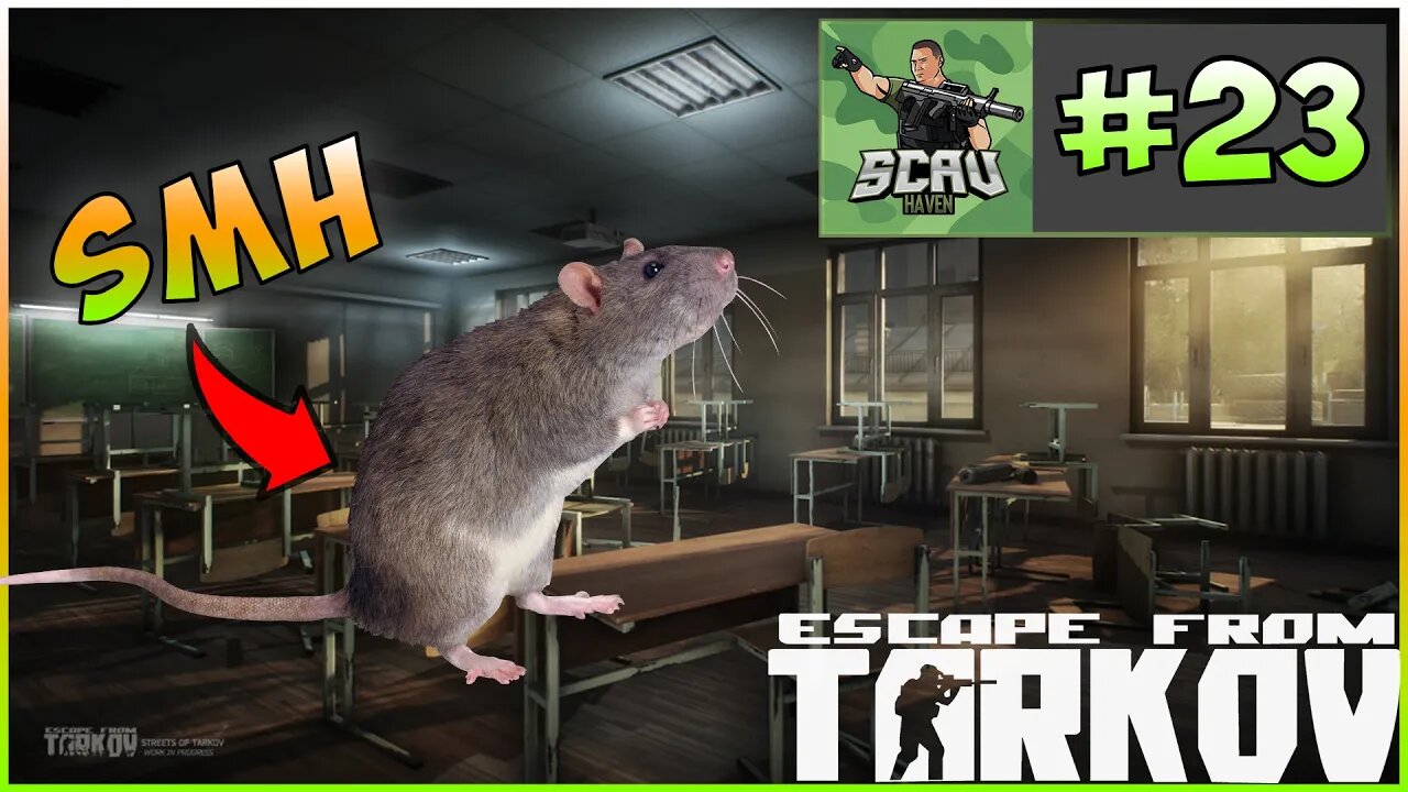 WE GOT A RAT HERE D*MMIT EFT WTF CLIPS Escape From Tarkov ep#23