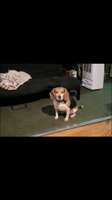 The ultimate betrayal... 😂