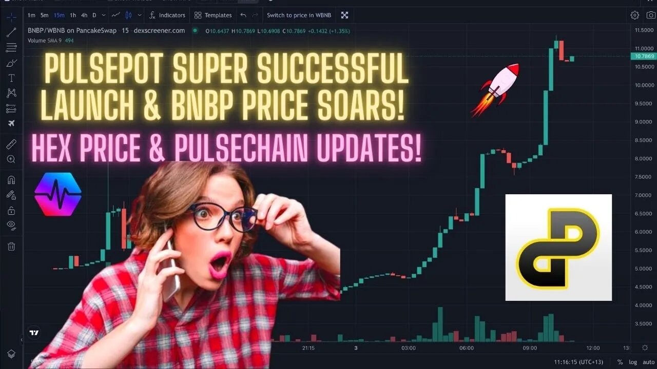 PulsePot Super Successful Launch & BNBP Price Soars! Hex Price & Pulsechain Updates!