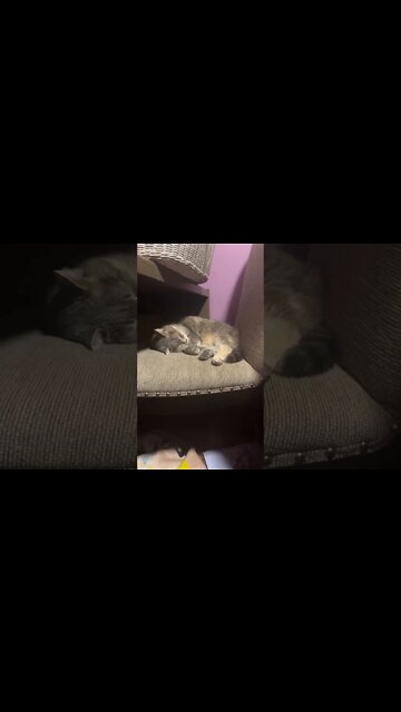 Babyyyyyyyyyy - why?