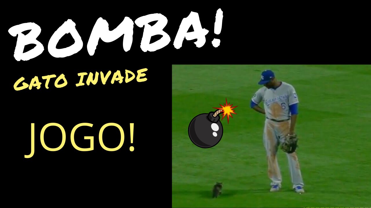 bomb !, cat invades big game!