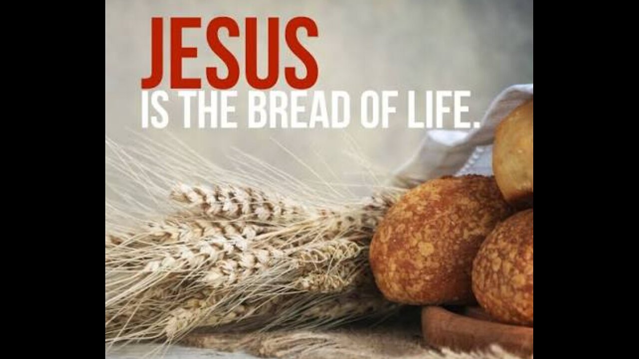 John 6 Read and Explained