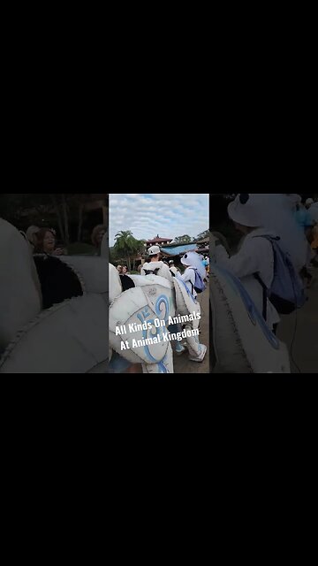 Disney's Animal Kingdom| They Have All Type's Of Animal's There