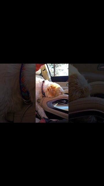 morning drive to the trail head