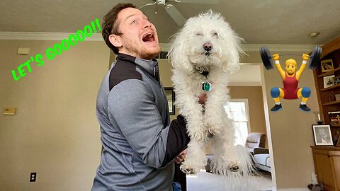 Quarantine Workout w/ Dog!