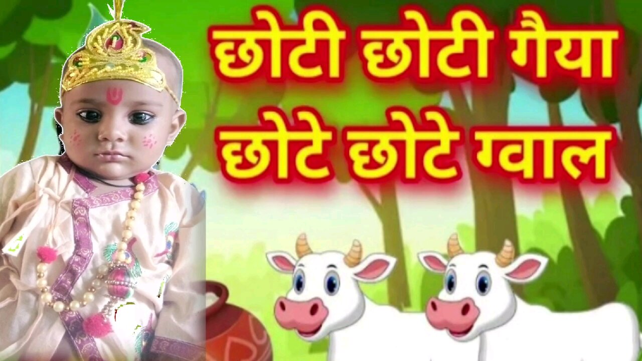 indian cow video