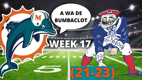 DOLPHINS VS PATRIOTS (WEEK 17) RECAP